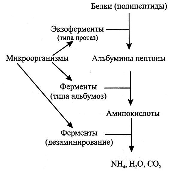 Метод габриэля для зерновых дистиллятов схема