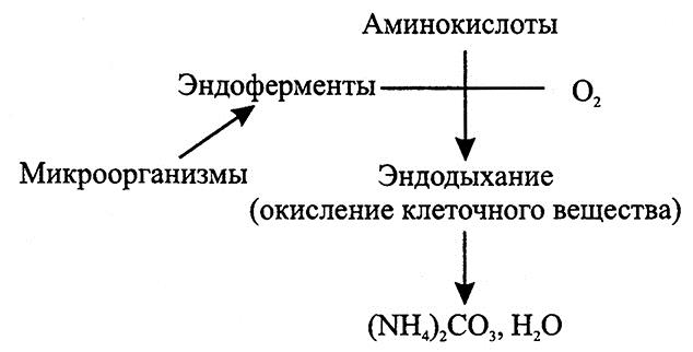 Схема процесса окисления это