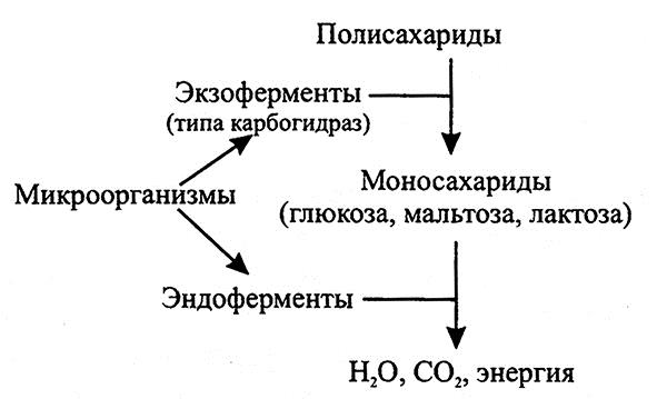 Кобальт 60 схема распада