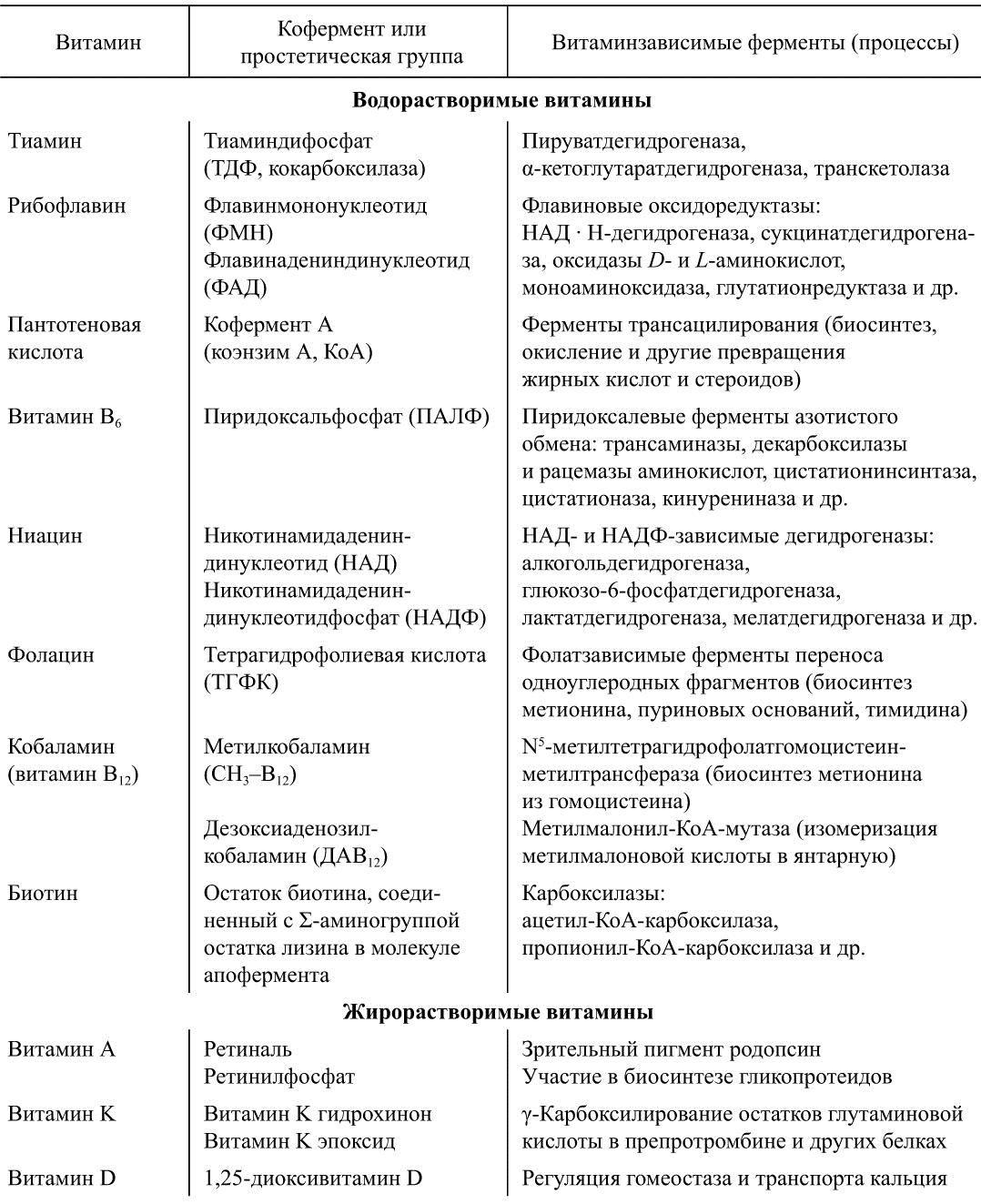 Ферменты и их функции