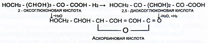 Рис.24