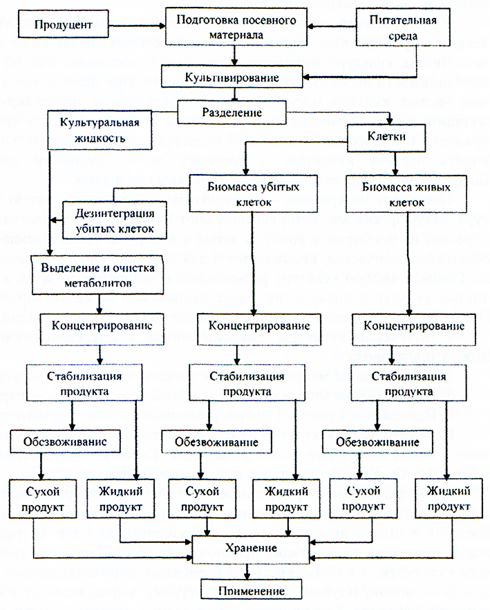 Принципиальная схема биотехнологического производства