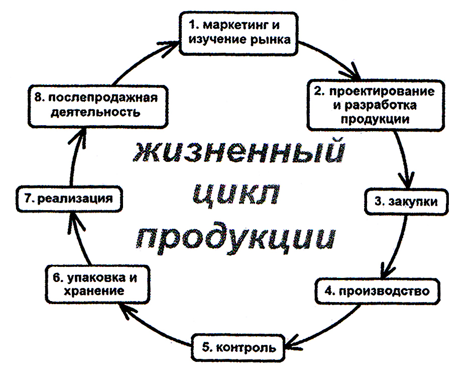 Курсовая Работа На Тему Жизненный Цикл Продукции