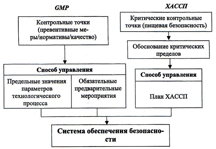 Хассп в общественном питании образец столовая