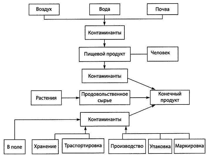 Какова принципиальная схема определения токсической безопасности пищевых добавок