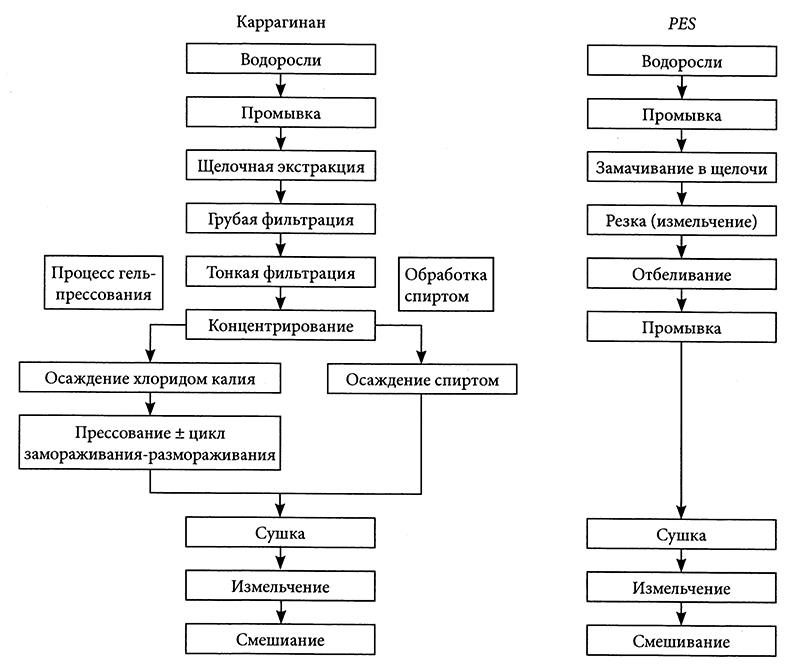 Технологическая схема производства холодца