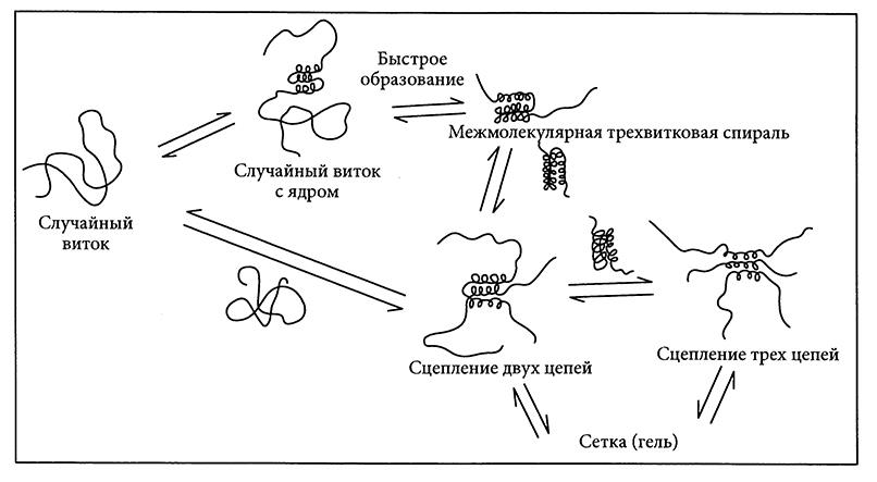 Задана следующая схема превращений веществ с2н5он сн3соос2н5