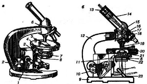Рассмотрите изображение микроскопа что обозначено на рисунке буквой б